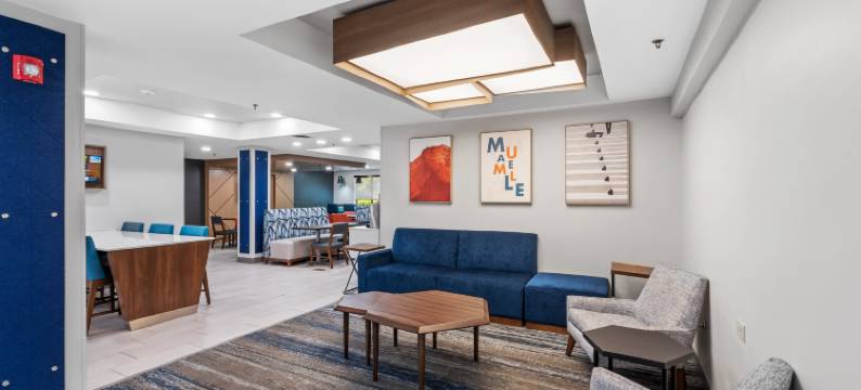 毛米勒智选假日酒店&套房(Holiday Inn Express & Suites MAUMELLE - LITTLE ROCK NW by IHG)图片