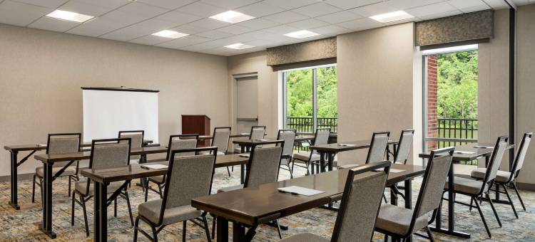 匹兹堡/水滨 - 西霍姆斯戴德希尔顿欢朋套房酒店(Hampton Inn & Suites Pittsburgh/Waterfront-West Homestead)图片