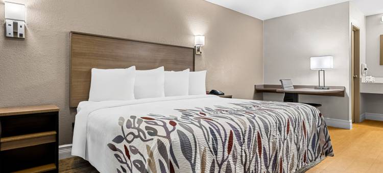 坦帕集市广场 红顶酒店(Red Roof Inn Tampa Fairgrounds - Casino)图片