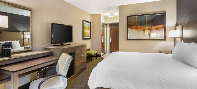 山迪木棉树贝斯特韦斯特优质酒店(Best Western Plus Cotton Tree Inn)图片