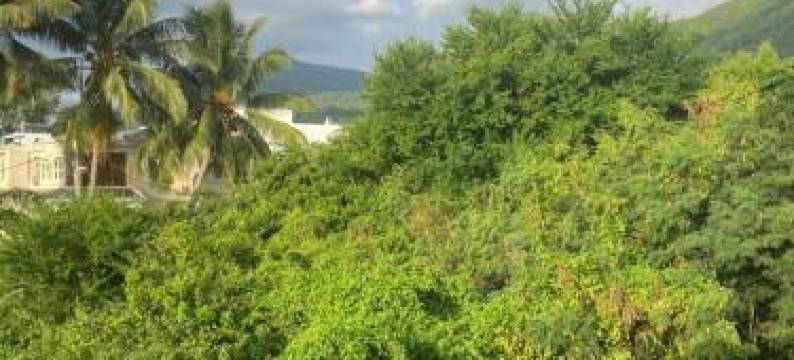 Le Colonial Cocoon Apartement 2图片