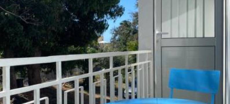 Fleur de Lys - St Denis Providence GR - Onf图片