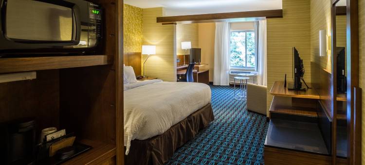 威斯康星戴尔斯万枫套房酒店(Fairfield Inn & Suites Wisconsin Dells)图片