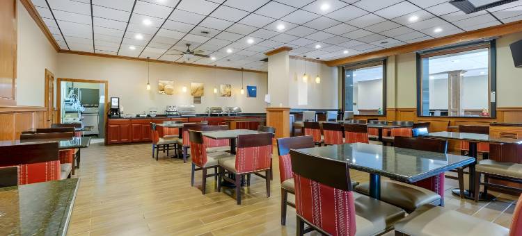 舒适套房酒店(Comfort Inn & Suites)图片