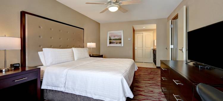 Homewood Suites by Hilton-阿尔伯克基机场(Homewood Suites by Hilton Albuquerque-Airport)图片