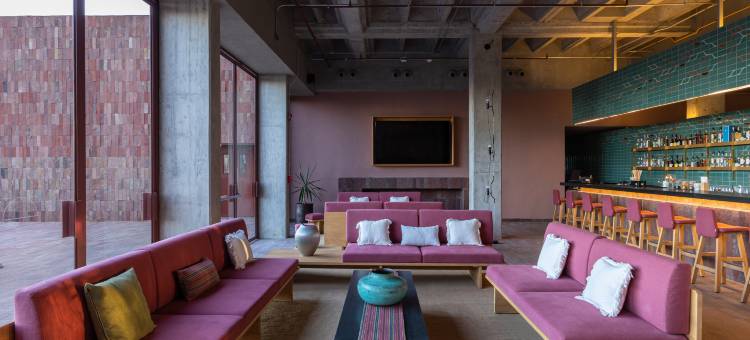 圣米格尔德阿连德阿尔博尔酒店，希尔顿启缤精选(Albor San Miguel de Allende, Tapestry Collection by Hilton)图片