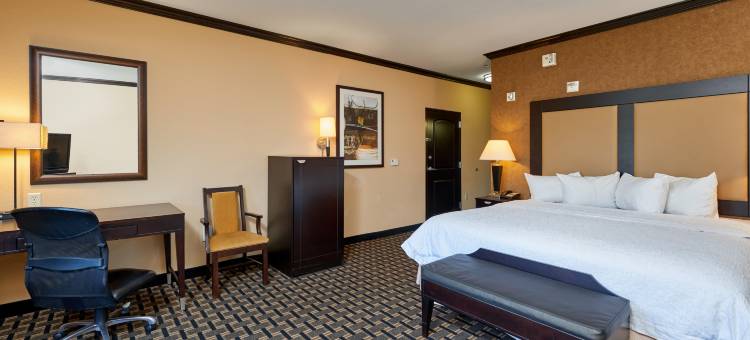 朗维尤北欢朋套房旅馆(Hampton Inn & Suites Longview North)图片