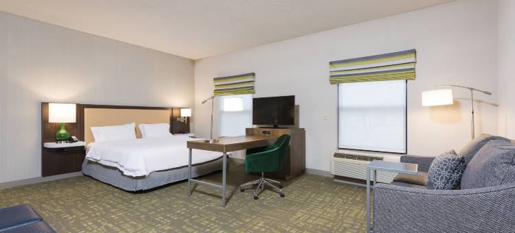 兰辛东欢朋酒店及套房(Hampton Inn & Suites East Lansing/Okemos)图片