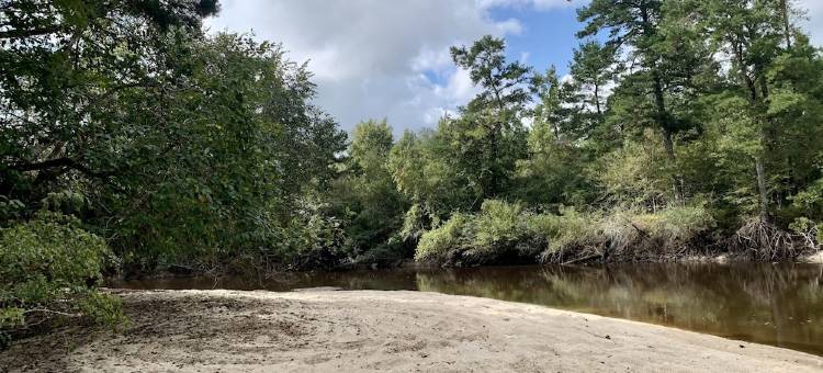 Ohoopee River Cabin图片