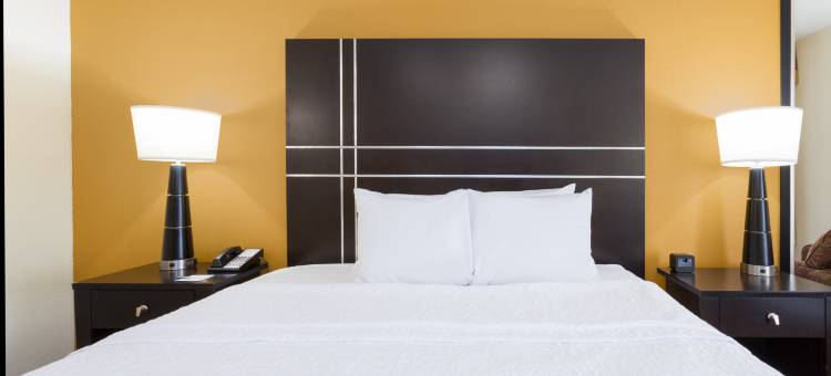 欢朋匹兹堡/西米夫林酒店(Hampton Inn Pittsburgh/West Mifflin)图片