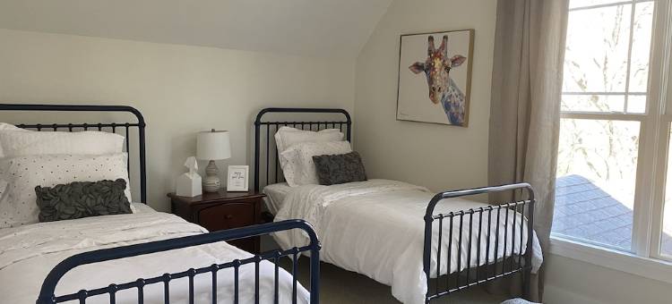 Cozy Cottage 2 Mins to Black Mountain, 20 Mins to Asheville, Dog Friendly!图片