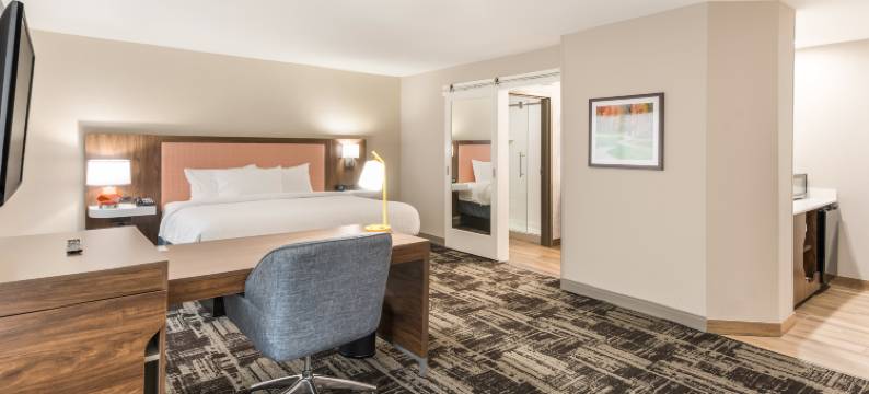 本顿港欢朋套房酒店(Hampton Inn & Suites by Hilton Benton Harbor)图片