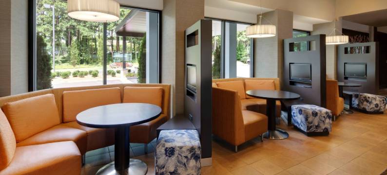 亚特兰大温蒂山/波尔公园万怡酒店(Courtyard by Marriott Atlanta Windy Hill/Ballpark)图片