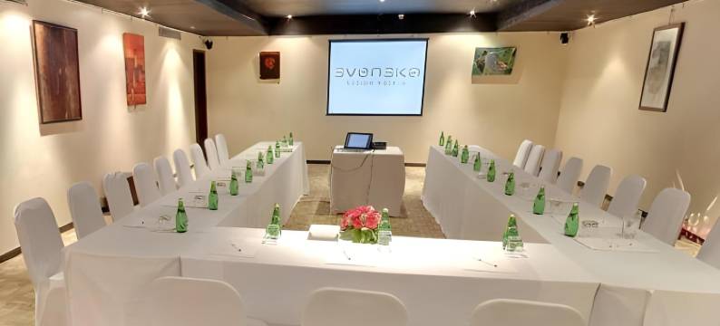 瑞典语设计酒店(Svenska Design Hotel)图片