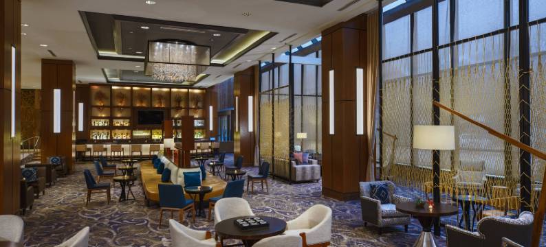 达拉斯艾迪生万丽酒店(Renaissance Dallas Addison Hotel)图片