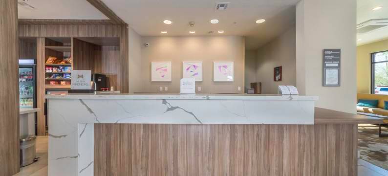 凤凰城机场希尔顿花园旅馆(Hilton Garden Inn Phoenix Airport)图片