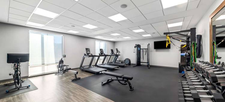 谢尔曼希尔顿欢朋套房酒店(Hampton Inn & Suites by Hilton Sherman)图片