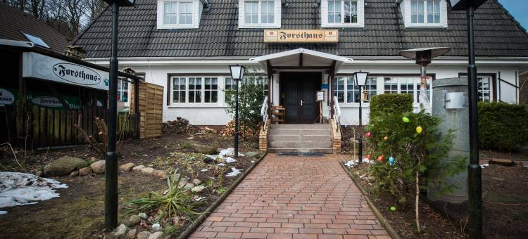 塞林佛秀斯酒店(Hotel Forsthaus Sellin)图片