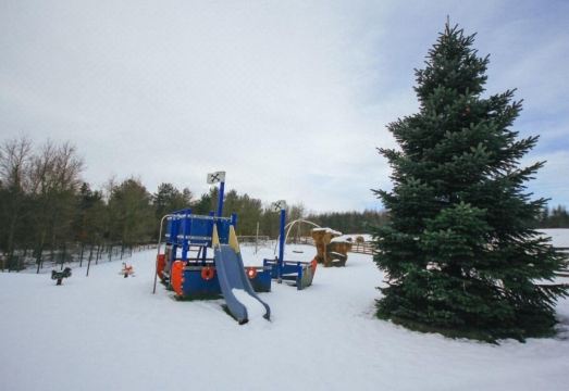 Colliery Cottage Hotel Overview