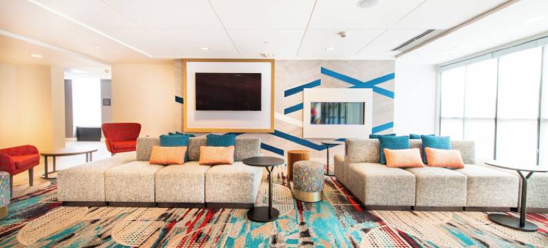 南阿什维尔希尔顿花园酒店(Hilton Garden Inn Asheville South)图片