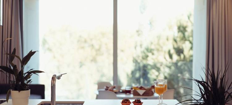 滨海花园精品套房酒店(Marina Gardens Boutique&Suites)图片