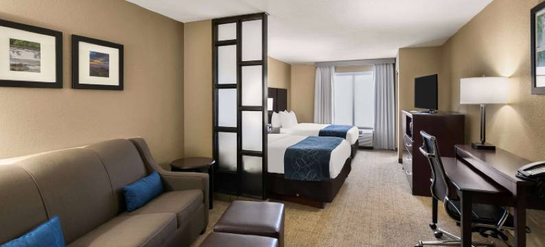 舒适套房酒店(Comfort Suites)图片