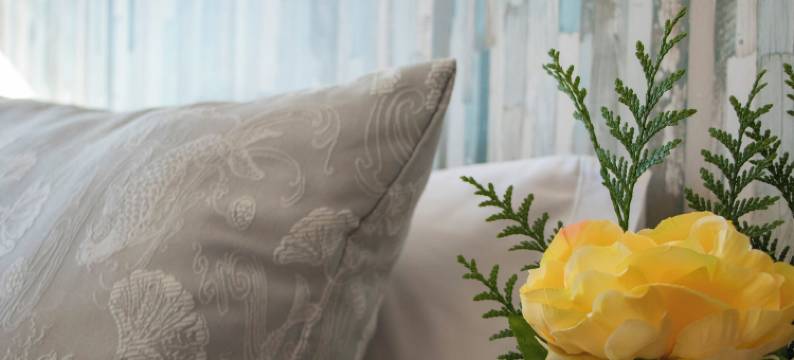 豪华单一公寓绿色(Luxury Singular Apartments Green)图片