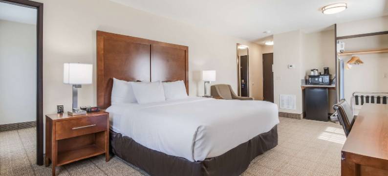 舒适酒店(Comfort Inn)图片