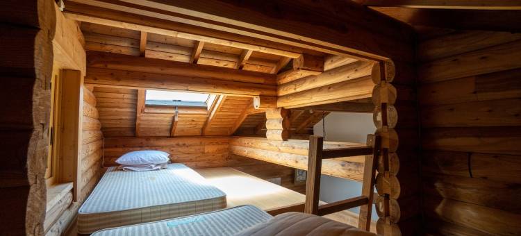 星子旅馆木屋(Pension and Log Cottage Hoshinoko)图片