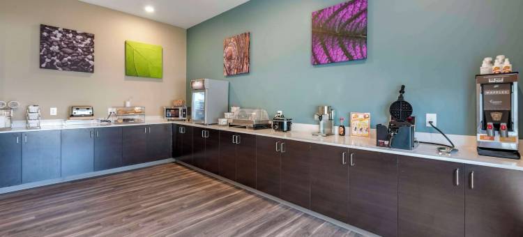 乔治敦莱克星顿北美茵斯坦套房酒店(MainStay Suites Georgetown Lexington North)图片