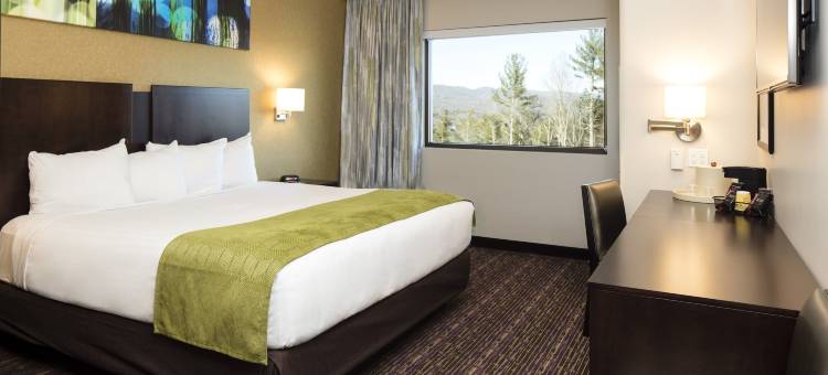 哈拉斯切罗基河谷河酒店 - 凯撒奖励目的地(Harrah's Cherokee Valley River – A Caesars Rewards Destination)图片