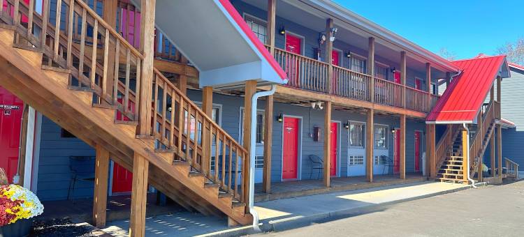 巴哈汽车旅馆(Baja Motel)图片