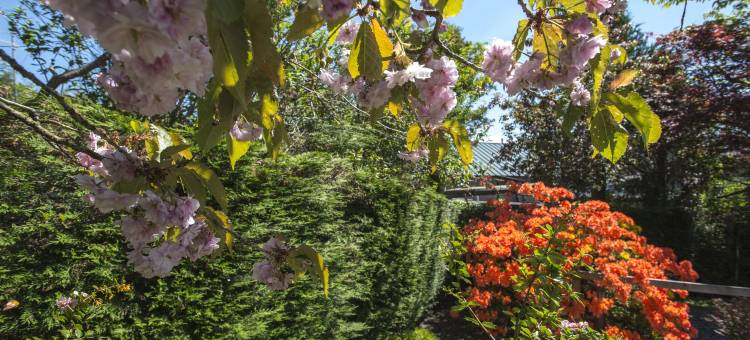 温德米尔套房B&B旅馆(Windermere Suites)图片