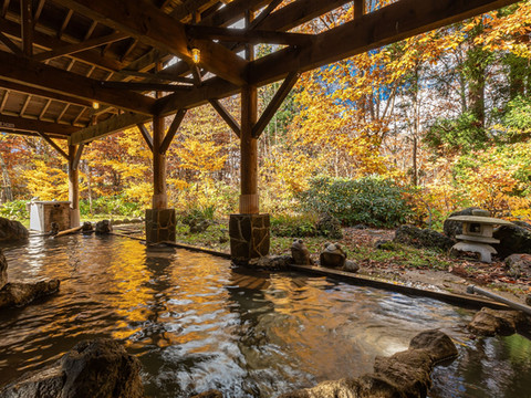 龟乃井酒店-田泽湖