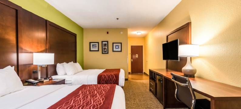 戴顿西北英格尔伍德舒适套房酒店(Comfort Inn & Suites Dayton Northwest - Englewood)图片