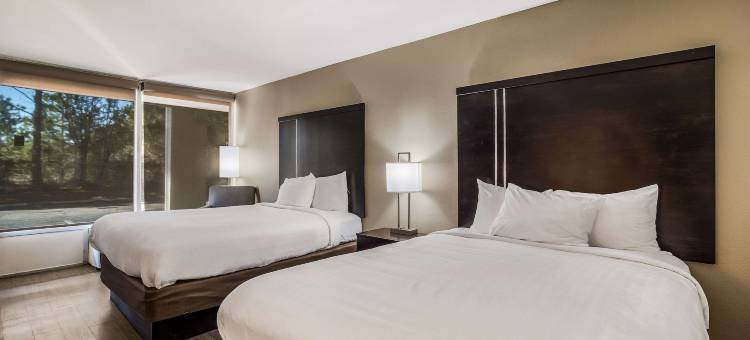 克拉丽奥套房酒店(Clarion Inn & Suites)图片