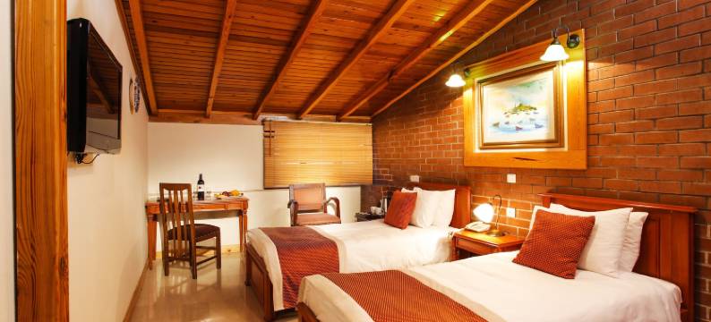 犹大树酒店(Hotel Erguvan - Special Category)图片