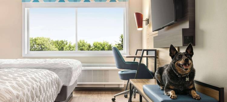 Hilton 马丁斯堡的Tru(Tru by Hilton Martinsburg)图片