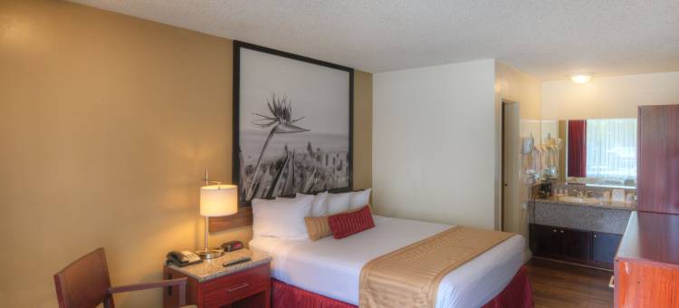 阿纳海姆公园国王酒店及会议中心(Kings Inn Anaheim at the Park & Convention Center)图片