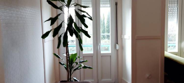 绿景之家(Green View Home)图片
