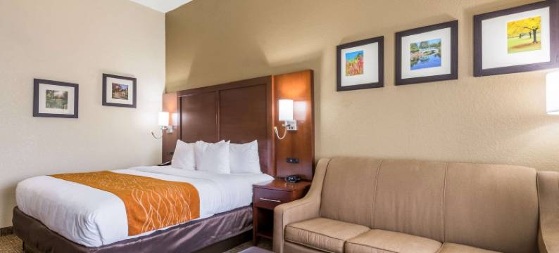 北戴顿舒适套房酒店(Comfort Inn & Suites Dayton North)图片