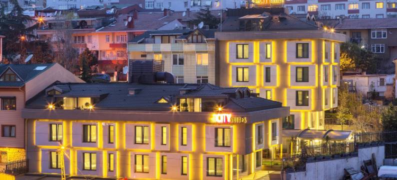 城市套房酒店(The City Suites)图片