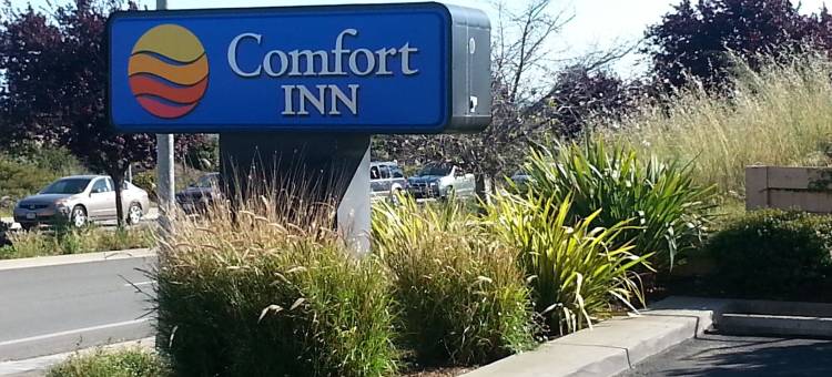 沃森维尔舒适酒店(Comfort Inn Watsonville)图片