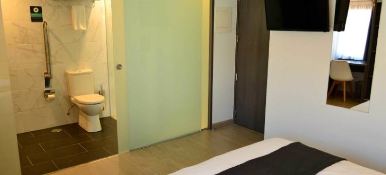 埃达站澳伦瑟酒店(Hotel Alda Estación Ourense)图片