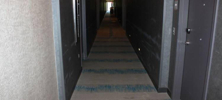 锡拉丘兹内港雅乐轩酒店(Aloft Syracuse Inner Harbor)图片