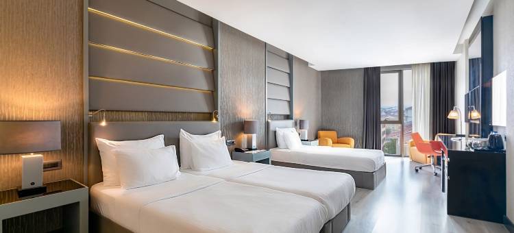 德德曼埃斯基谢希尔公园酒店(Park Dedeman Eskişehir)图片