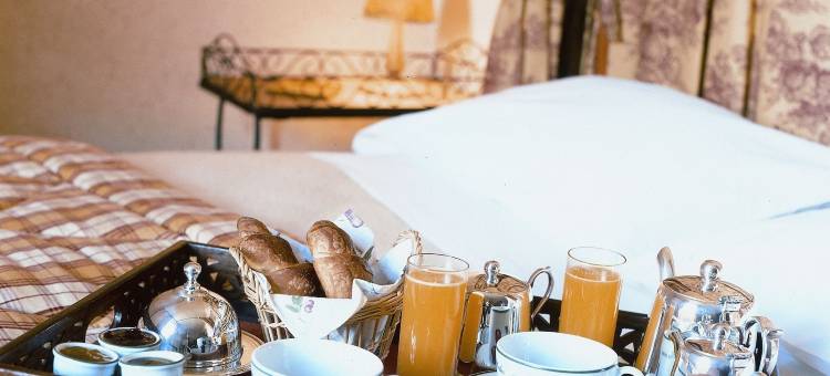 欧瑞芝斯酒店(Hôtel les Orangeries)图片