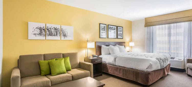 汉尼拔舒眠酒店及套房(Sleep Inn & Suites Hannibal)图片