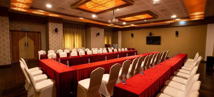 达文盖雷南星酒店(Southern Star,Davangere)图片