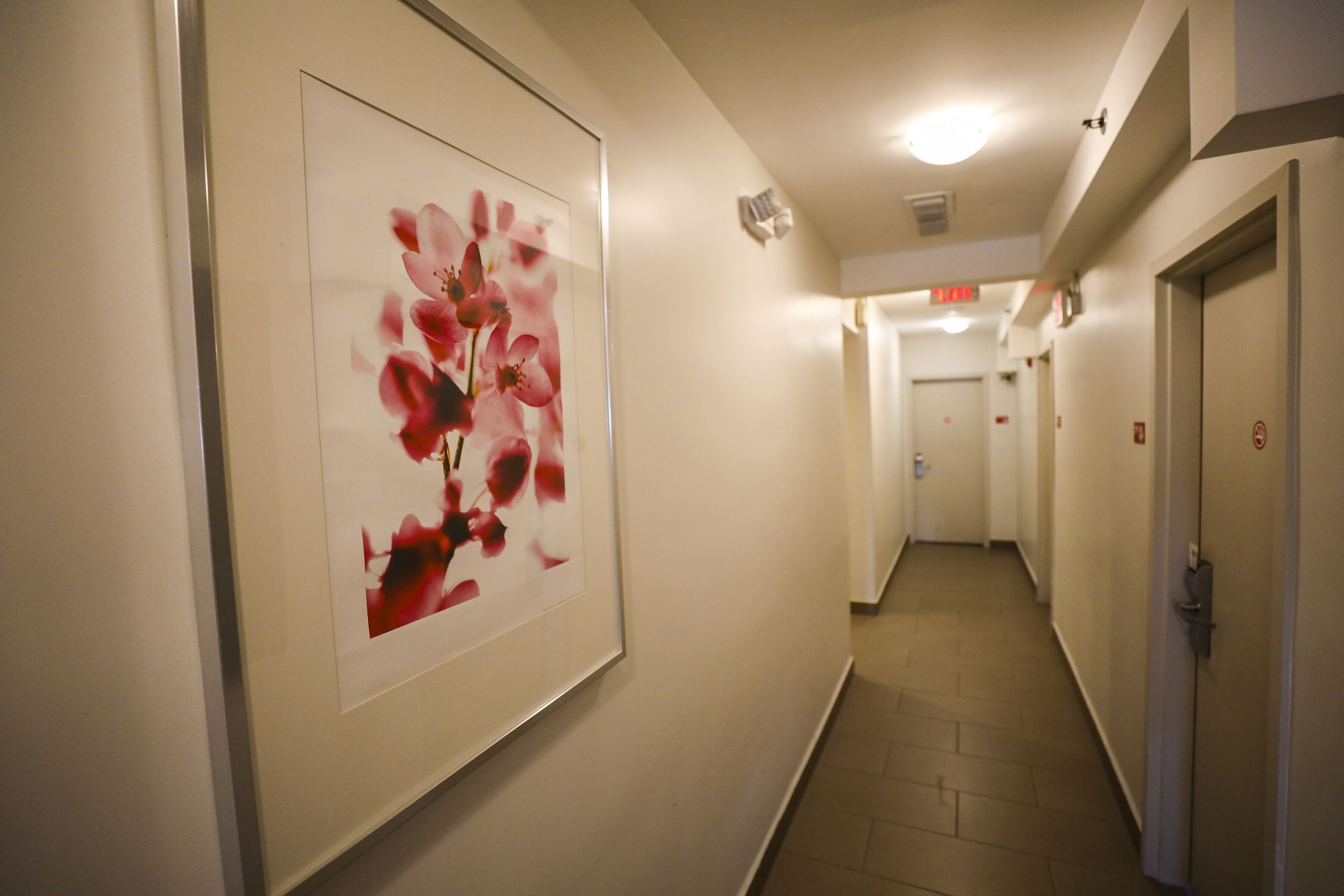 Collins Hotel Over view